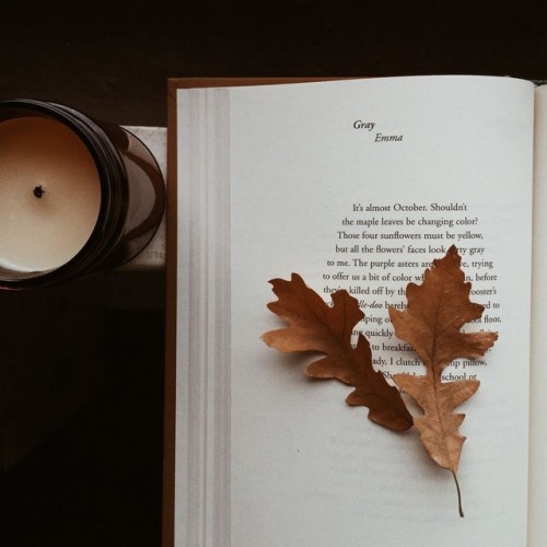 studyblr:fall moodboard