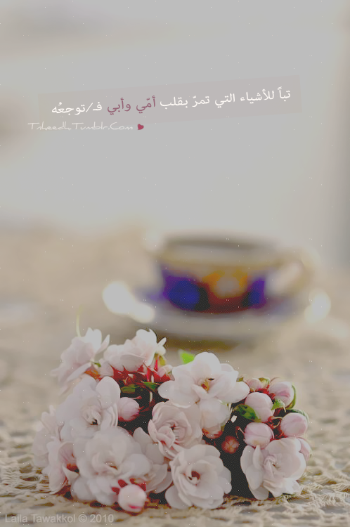 tnheedh:  تبـاً للأشيـآء “