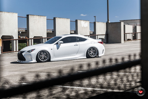 Bagged Lexus RC 350 F-Sport x Vossen Forgted ML-X3