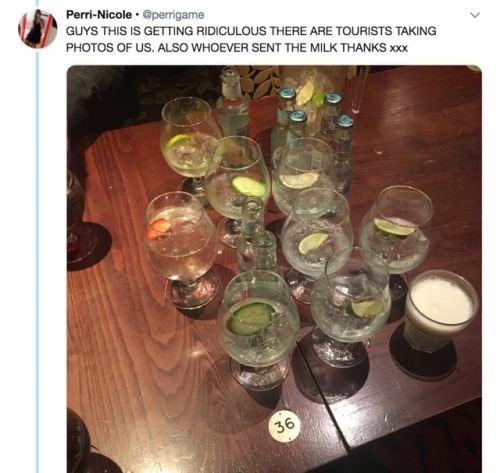fluffmugger:catchymemes:A drink or two#the internet is a chaotic neutral space#if you ask a chaotic 