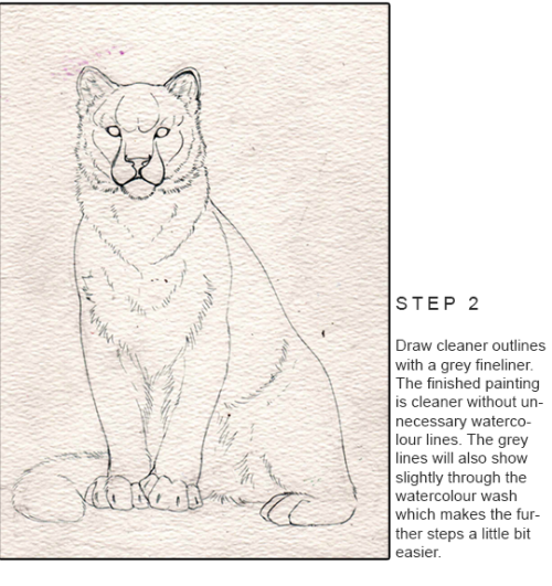 shinonarts:A step-by-step guide on my watercolour painting Polaris!