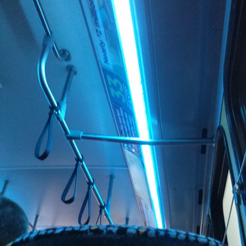 ssmutantalmostachickenduck: this bus is the aesthetic