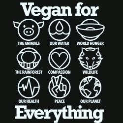 Tag The Vegan You Love ;) ♡ By Realnicoleaniston