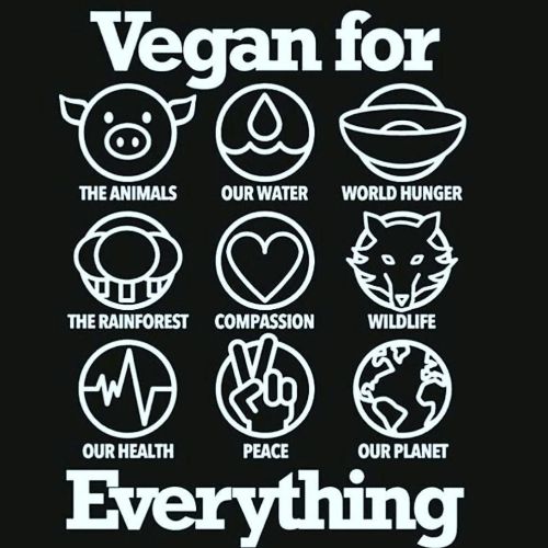 Tag the vegan you love ;) ♡ by realnicoleaniston porn pictures