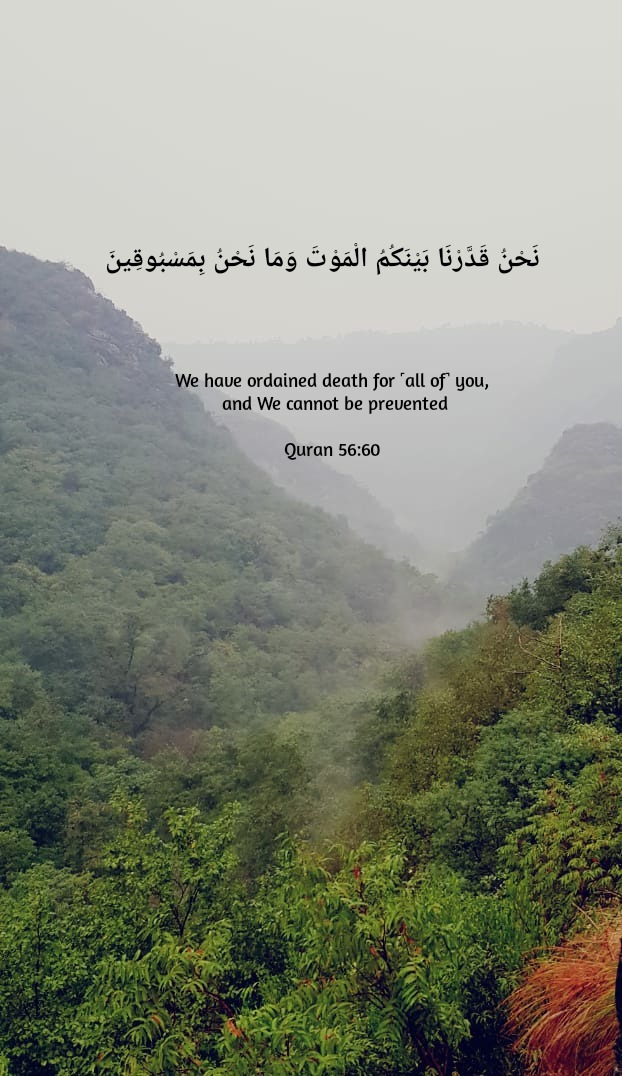 ISLAMIC QUOTES ABOUT DEATH –