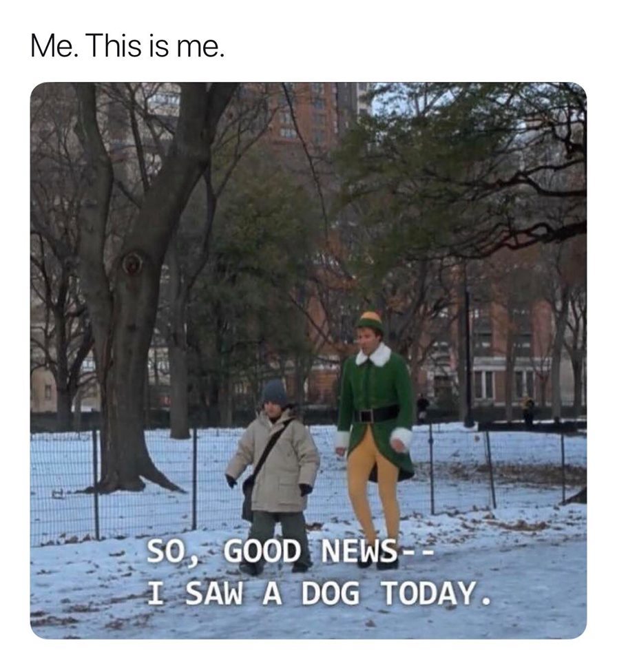HUMOR RELATED