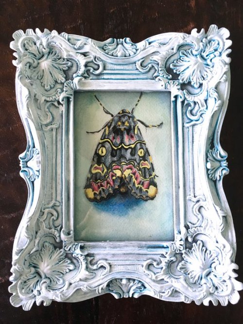 Lily Moth //ArtistryToAlchemy
