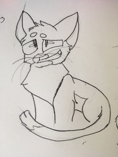 Some Sketches Of Two Old Warriors Characters. The One On The Left Is A Medicine Cat Apprentice Vulturepaw