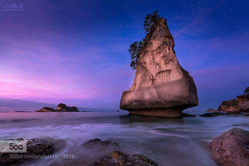 morethanphotography:  cathedral cove, New Zealand by waleedk 