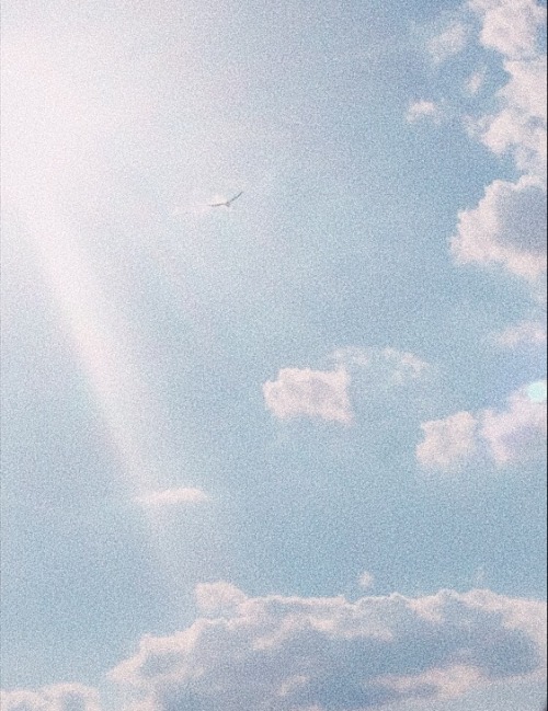 heavensghost:These are the most ethereal pictures I’ve taken