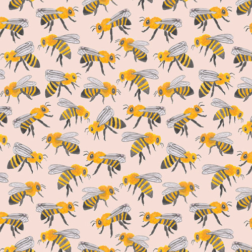 abbygalloway: Honey bees!
