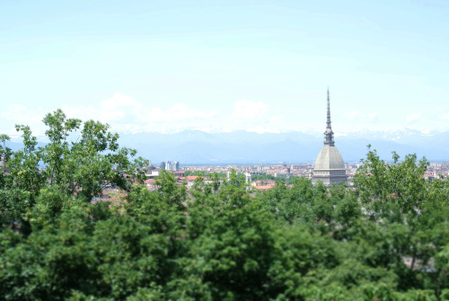 Green Turin