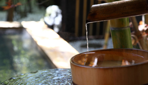 seraphica:Takefue“Guests of Takefue arrive via one of the most beautiful roads in Japan, with breath