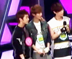 magalinamegg:   accio-xiuhan-deactivated2014081:  anon requested: xiuhan and kittens