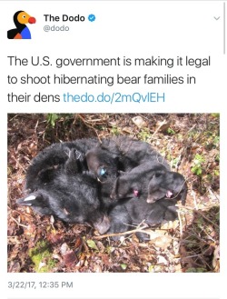 weavemama: tbh America is passing bullshits laws just to be passing bullshit laws at this point