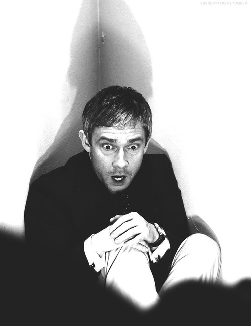 justonehiddles:  if someone asked me to describe martin freeman i’d show that person