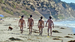 ohnesans:  active nudity (304) Playa Luna, Chile 