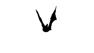 bat