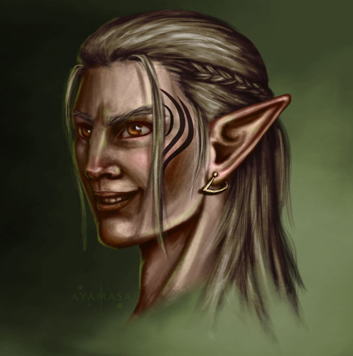 Zevran, as I kinda hoped he’d turn out in DA2 when the elves got cool makeovers.