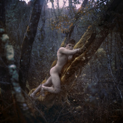 marwanepallas:  #marwanepallas #photography #nude #forest #dawn #selfportrait 