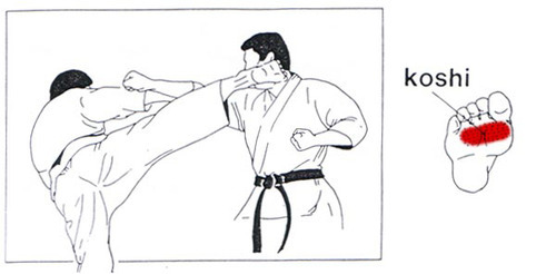 feiyueshoescanada:  Hands and feet are two important parts of playing Kung fu.  How much do you know about them? What postures do Kung Fu hands and Kung Fu feet Kung Fu? How do they play well,together? Only to understand these problems, you can really