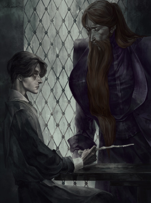 Tom Marvolo Riddle, Albus Dumbledore: In Grey Days