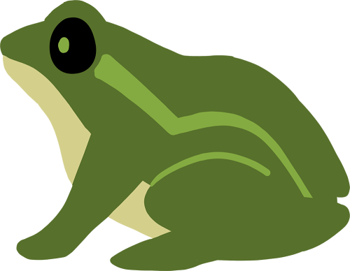 a simple drawing of a green frog