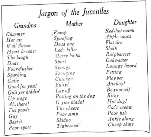 yesterdaysprint:Times Signal,Zanesville, Ohio, January 11, 1925Three generations of slang!