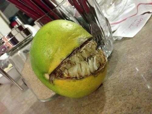 notevennice:  assassins-sandwich:  procrastinate—-later:  brucelightyear:  thelandofwtf:  My cousin has an orange tree, this one came out different.  Kill it.  Kill it with fire.  This reminds me of that crazy, evil lima bean in that episode of jimmy