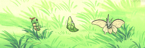 saltymannlicher:  chipsprites:   Pokémon Mysteries - Were Butterfree &amp; Venomoth