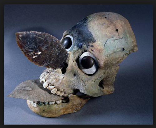 abridurif:Crâne exhumé lors des fouilles du Templo Mayor aztèque à Mexico