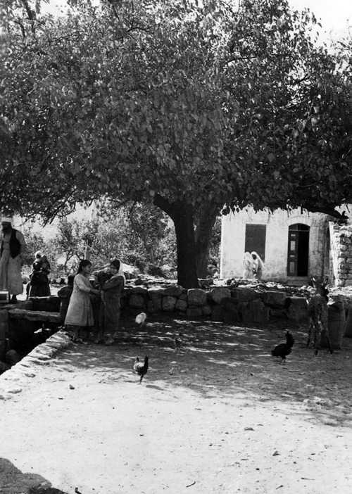 momo33me: قرية دير ياسين عام 1930 The village of Deir Yassin in 1930 