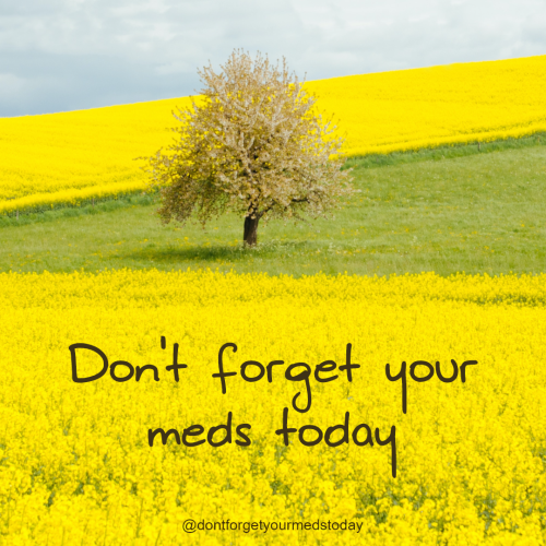 dontforgetyourmedstoday:Don’t forget your meds today.Want twice daily reminders to take your medicat