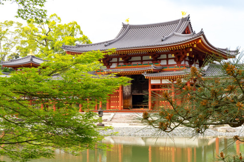 平等院鳳凰堂 ／ Byodo-in Temple by Yuya HorikawaVia Flickr:I want to introduce wonderful Japan to the world