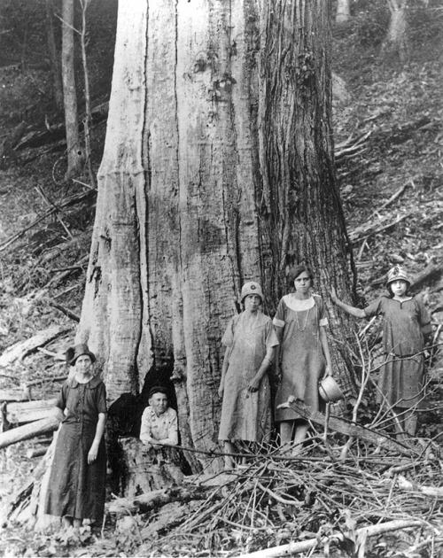 worldhistoryfacts: The Shelton family stands near a chestnut tree in the Smoky Mountains, ca. 1920. 