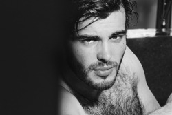 Hairy Male Celebrities