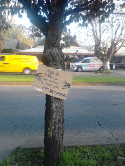 feelings-emotions:  meanwhile in Temuco City