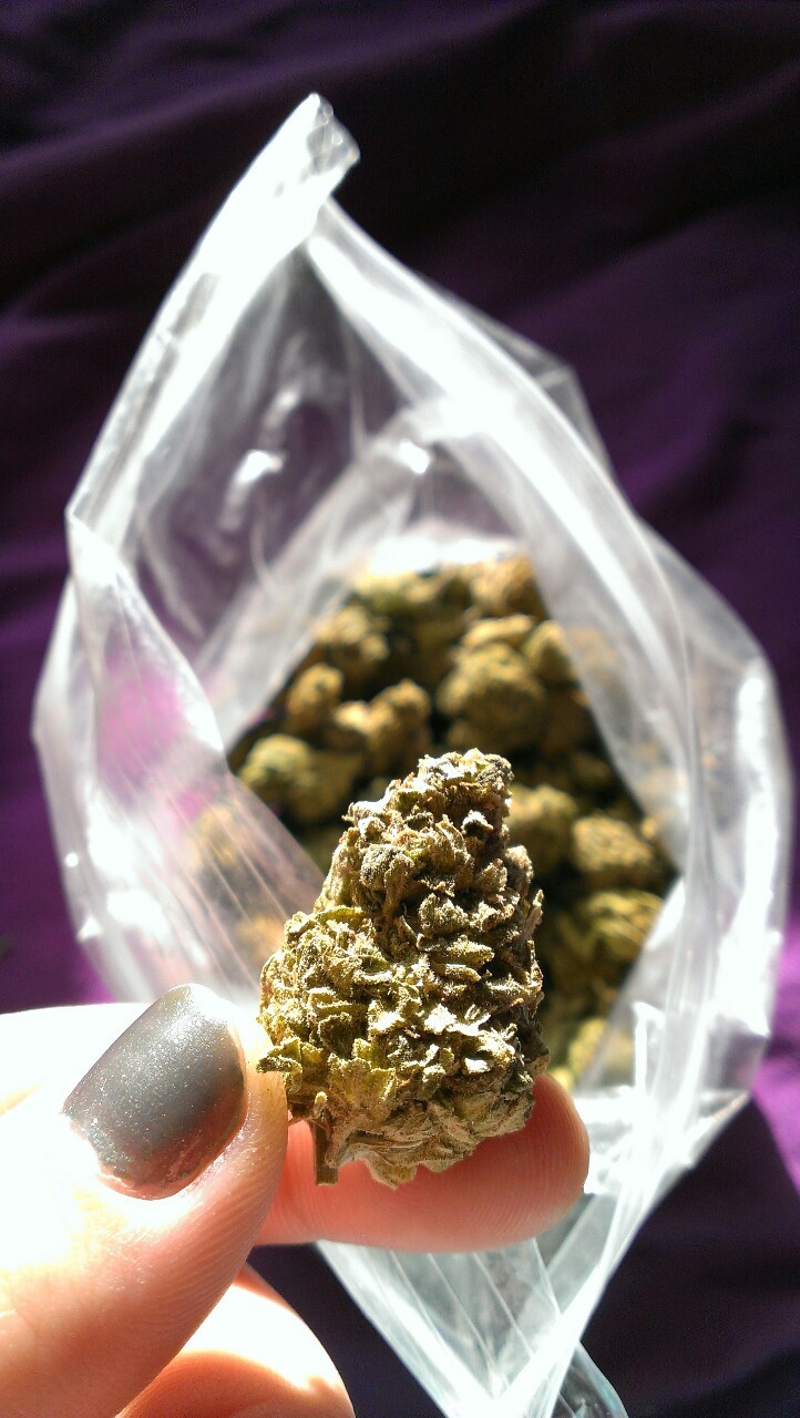 dreaming-stoner420:  I’ve always loved humboldt weed