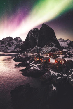 lsleofskye:   Stars can’t shine without a darkness!!  | franckreporterLocation:  Hamnøy, Nordland County, Norway