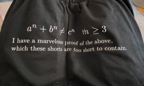 @wishuponastarion Helped Me Make These Fermat's Last Theorem Booty Shorts For Seattle Trans Pride!