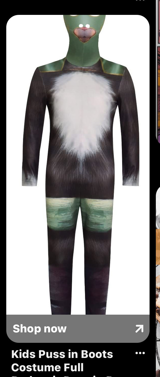 Fucked Up Puss In Boots Costume Full