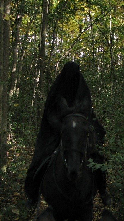 thespooklock:  thespooklock:  so my plan for halloween is to dress up as a Nazgul with my black horse and go trick or treating but instead of saying “trick or treat” i’ll either scream or hiss “Bagginssssssssss, Shhhhhhhire” and then ransack