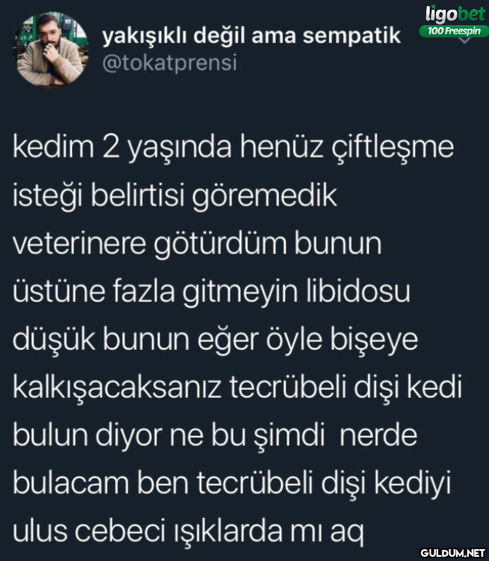 ligobet yakışıklı değil...