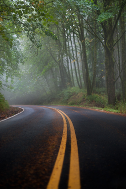 plasmatics-life:  I Walk a Lonely Road by