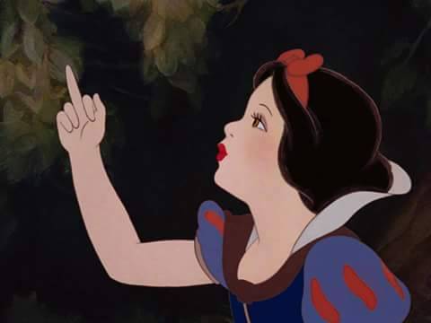 lampidipazzia:  Disney ladys’ real life. 