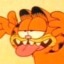 hyodyton