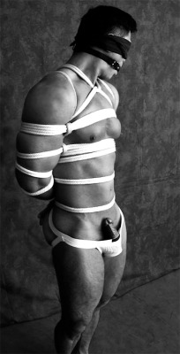stayinghard:  photojeandavid:  otorism:  reckon he likes it 