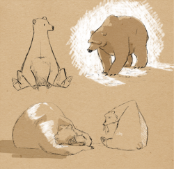 sha-sha-shroom:  bears bears bears and lazy