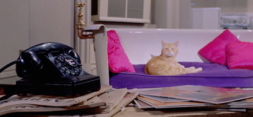 cohvenant:“I’m like cat here, a no-name slob. We belong to nobody, and nobody belongs to