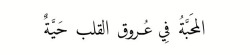 Aysha-Sh:  Warag-3Nb:  المحبة في عروق القلب حية ..  -خالد